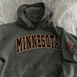 Grey minnesota oversized hoodie